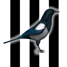 couverture jeu vidéo St James's Magpie
