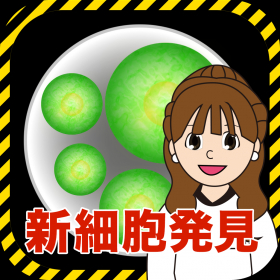 couverture jeu vidéo STAP細胞発見報告
