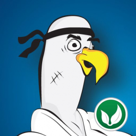 couverture jeu vidéo Steven Seagull