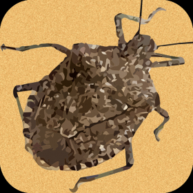 couverture jeu vidéo Stink Bug Blast