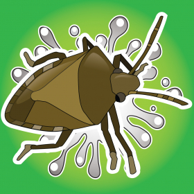 couverture jeu vidéo Stink Bug Smash