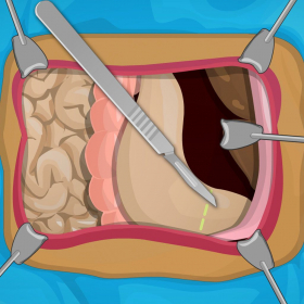 couverture jeu vidéo Stomach Doctor & Stomach Surgery