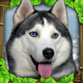 couverture jeu vidéo Stray Dog Simulator