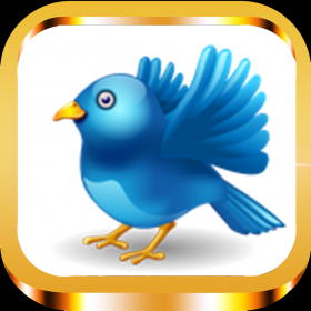 couverture jeu vidéo Stumbling Bird Free Arcade Family Game
