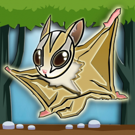 couverture jeu vidéo sugar glider