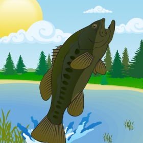 couverture jeu vidéo Summer Fishing