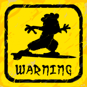 couverture jeu vidéo Surfing Bird