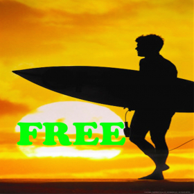 couverture jeu vidéo Surfing Survival FREE