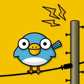 couverture jeu vidéo Survi Birds for iPhone