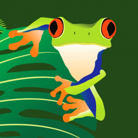 couverture jeu vidéo Survie Rainette aux yeux rouges tombe- Défi Echapée Alligator affamé fou