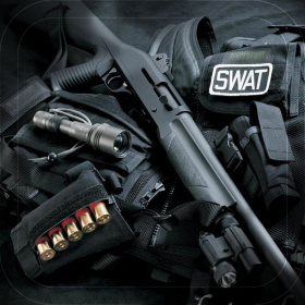 couverture jeu vidéo SWAT SD