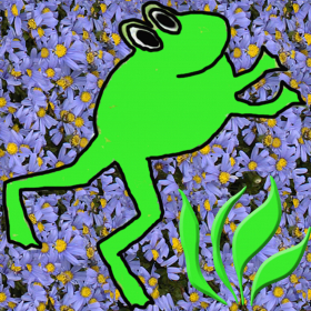 couverture jeu vidéo Swimmy Frog