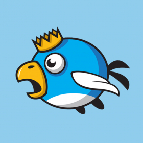 couverture jeu vidéo Swing Birdking