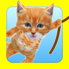 couverture jeu vidéo Swing Kitty