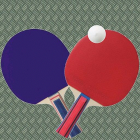 couverture jeu vidéo Table Tennis Pro 2D And 3D