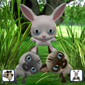 couverture jeu vidéo Talking Cat