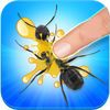 couverture jeu vidéo Tap Black Ants: Kids Game