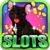 couverture jeu vidéo The Barking Slots: Bet on the beautiful Bulldog