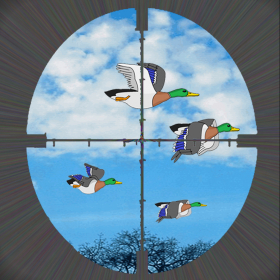couverture jeu vidéo The Duck Hunter