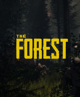 couverture jeu vidéo The Forest
