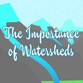 couverture jeu vidéo The Importance of Watersheds