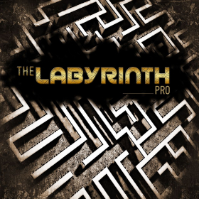 couverture jeu vidéo The Labyrinth Pro