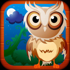 couverture jeu vidéo The Owls