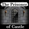 couverture jeu vidéo The Prisoner of Castle