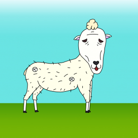 couverture jeu vidéo The Sheep run away