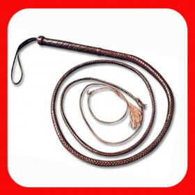couverture jeu vidéo The Whip Sound App