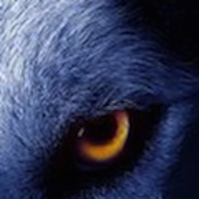 couverture jeu vidéo The Wolf FREE