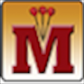 couverture jeu vidéo theMedallion