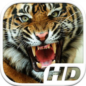 couverture jeu vidéo Tiger Simulator HD Animal Life