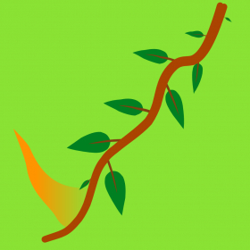 couverture jeu vidéo Time The Vine