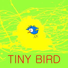 couverture jeu vidéo Tiny Bird