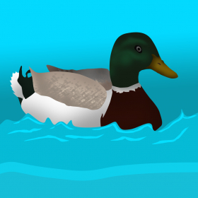 couverture jeux-video Tiny Plastic Duck Racing : Summer Water Race to Win - Free Edition