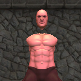couverture jeu vidéo TitanWallNinjya