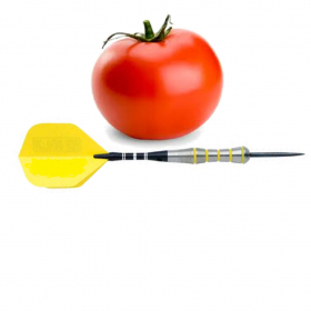 couverture jeu vidéo tomatoshot
