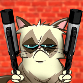 couverture jeu vidéo Tony Cat Pro