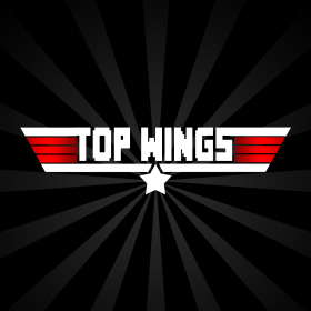 couverture jeu vidéo Top Wings
