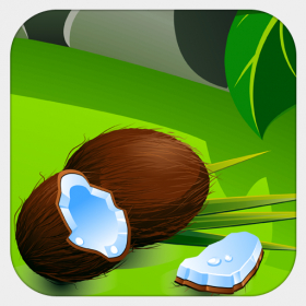 couverture jeu vidéo Tortoise N' Coconut
