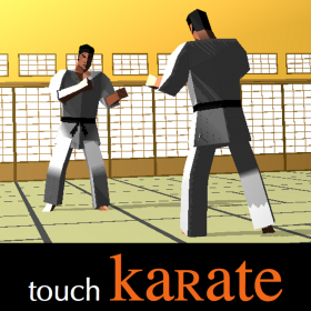 couverture jeu vidéo touch Karate (Universal)