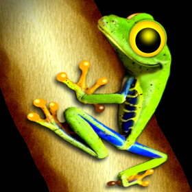 couverture jeu vidéo Toxic Frog