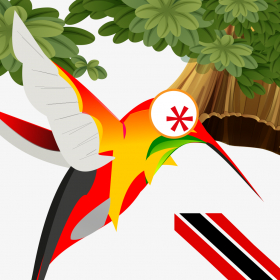 couverture jeu vidéo trinibirds