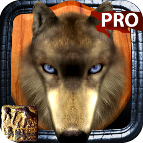 couverture jeux-video Trophy Hunt Pro