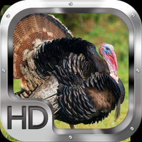 couverture jeu vidéo Turkey Hunter