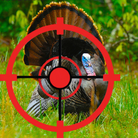 couverture jeu vidéo Turkey Hunting Combat