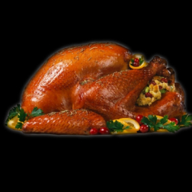 couverture jeu vidéo Turkey Tap Game