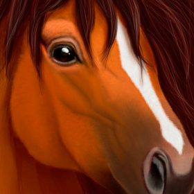 couverture jeu vidéo Ultimate Horse Simulator