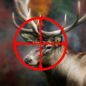 couverture jeu vidéo Ultimate Hunting: Deer Challenge Pro 3D Free - extrême extérieure de chasse 3D gratuitement